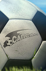 Sapsan 2009 movie.jpg