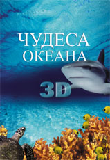 Ocean Wonderland 3D 2003 movie.jpg