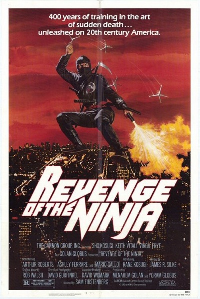 Файл:Revenge of the ninja.jpg