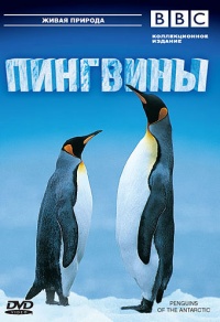Penguins of the Antarctic 2006 movie.jpg