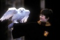 Harry Potter and the Philosophers Stone 2001 movie screen 2.jpg