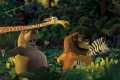 Madagascar 2005 movie screen 1.jpg