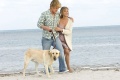 Marley Me 2008 movie screen 4.jpg
