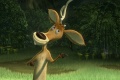 Open Season 2006 movie screen 4.jpg