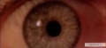 2001 A Space Odyssey 1968 movie screen 3.jpg