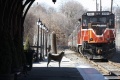 Hachiko A Dogs Story 2009 movie screen 4.jpg