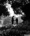 How Green Was My Valley 1941 movie screen 2.jpg