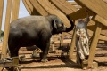 Evan Almighty 2007 movie screen 2.jpg