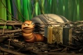The Ugly Duckling and Me 2006 movie screen 2.jpg