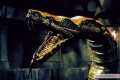 Conan the Barbarian 1982 movie screen 1.jpg