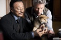 Hachiko A Dogs Story 2009 movie screen 3.jpg