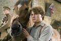 War Horse 2011 movie screen 1.jpg
