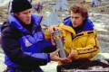 Vertical Limit 2000 movie screen 2.jpg