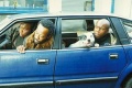 Snatch 2000 movie screen 4.jpg