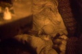 Pisma mertvogo cheloveka 1986 movie screen 4.jpg