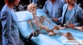 Hollow Man 2000 movie screen 2.jpg