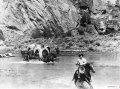 The Indian Fighter 1955 movie screen 2.jpg