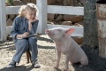 Charlottes Web 2006 movie screen 3.jpg
