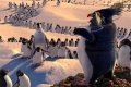 Happy Feet 2006 movie screen 4.jpg