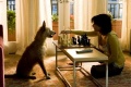 Lake House The 2006 movie screen 4.jpg