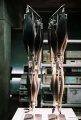 Anatomie 2 2003 movie screen 3.jpg