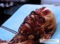 Hollow Man 2000 movie screen 1.jpg