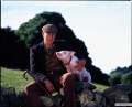 Babe 1995 movie screen 3.jpg