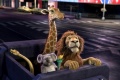 Wild The 2006 movie screen 1.jpg