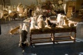 Hotel for Dogs 2009 movie screen 4.jpg