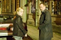 Waz 2007 movie screen 3.jpg