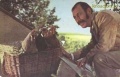 Basov vladimir person screen 1.jpg
