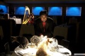The Slammin Salmon 2009 movie screen 3.jpg