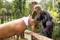 Nanny McPhee 2005 movie screen 4.jpg