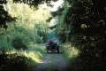 Finding Neverland 2004 movie screen 3.jpg