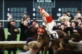Seabiscuit 2003 movie screen 3.jpg