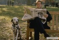 101 Dalmatians 1996 movie screen 4.jpg