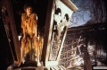 Hook 1991 movie screen 1.jpg