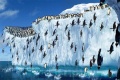 Happy Feet 2006 movie screen 2.jpg