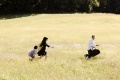 Happening The 2008 movie screen 2.jpg
