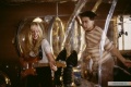 Bubble Boy 2001 movie screen 1.jpg