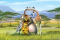 Madagascar Escape 2 Africa 2008 movie screen 1.jpg