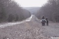 The Road 2009 movie screen 2.jpg