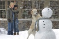Marley Me 2008 movie screen 2.jpg