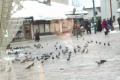 Grbavica 2006 movie screen 2.jpg