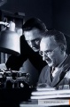 Schindlers List 1993 movie screen 4.jpg