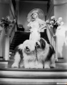 Bombshell 1933 movie screen 2.jpg