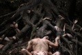 Antichrist 2009 movie screen 1.jpg