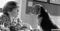 Cats x26 Dogs 2001 movie screen 3.jpg