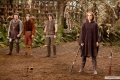 Your Highness 2011 movie screen 2.jpg