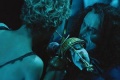 Peter Pan 2003 movie screen 3.jpg